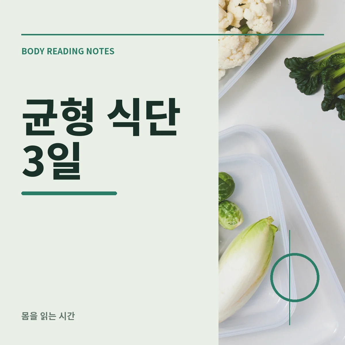곡류 단백질 채소가 함께 놓인 일상적인 한 끼 접시